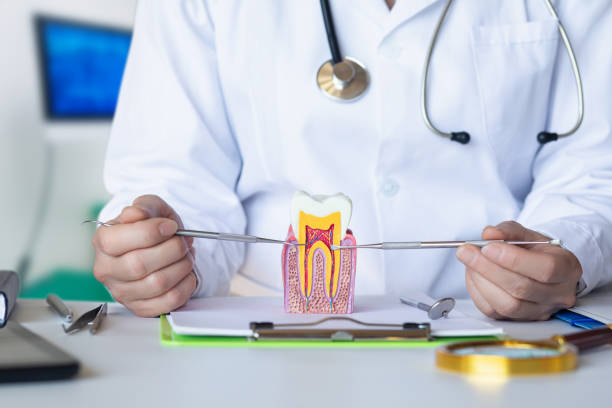 Best Pediatric Emergency Dentist in Cheverly, MD